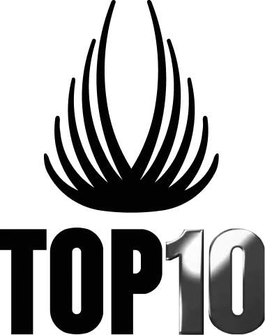 Black logo top10 removebg preview