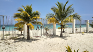 Sponsorpitch & WAVZ Beach Club