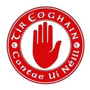 Sponsorpitch & Tyrone GAA
