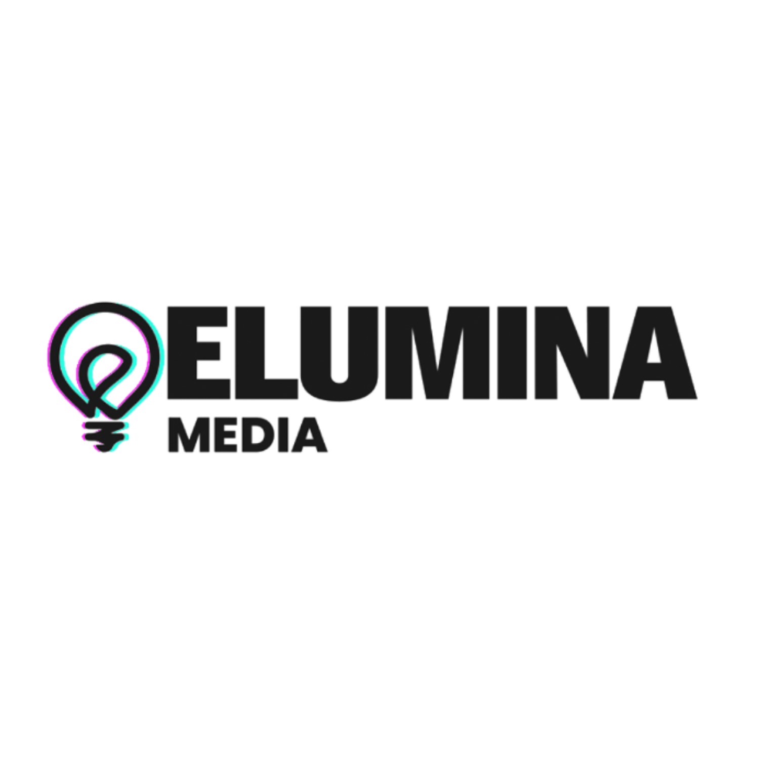 Elumina logo