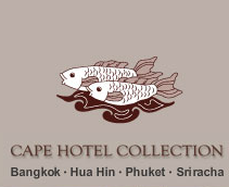 Sponsorpitch & Cape Hotel Collection