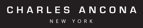 Sponsorpitch & Charles Ancona